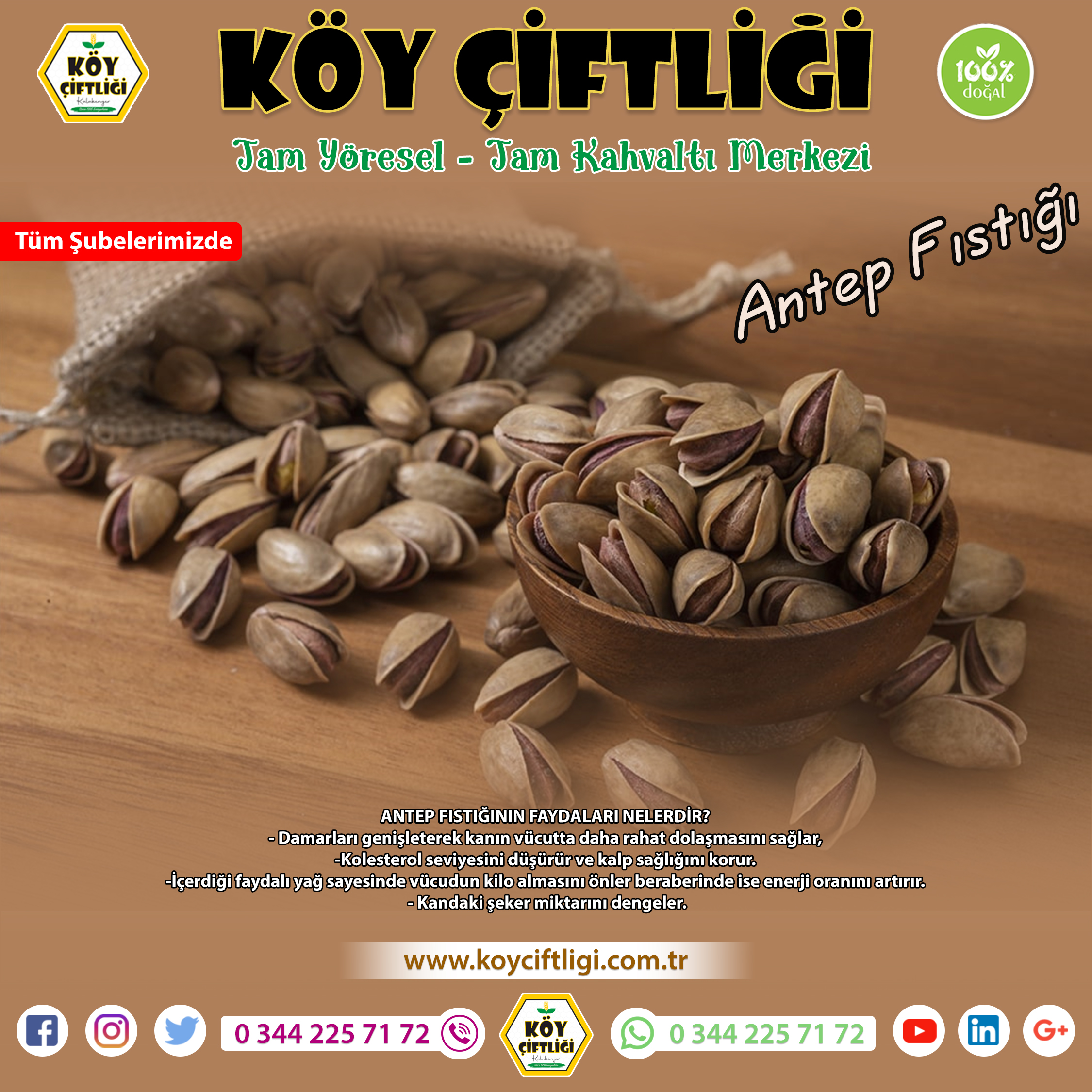 Antep Fıstığı
