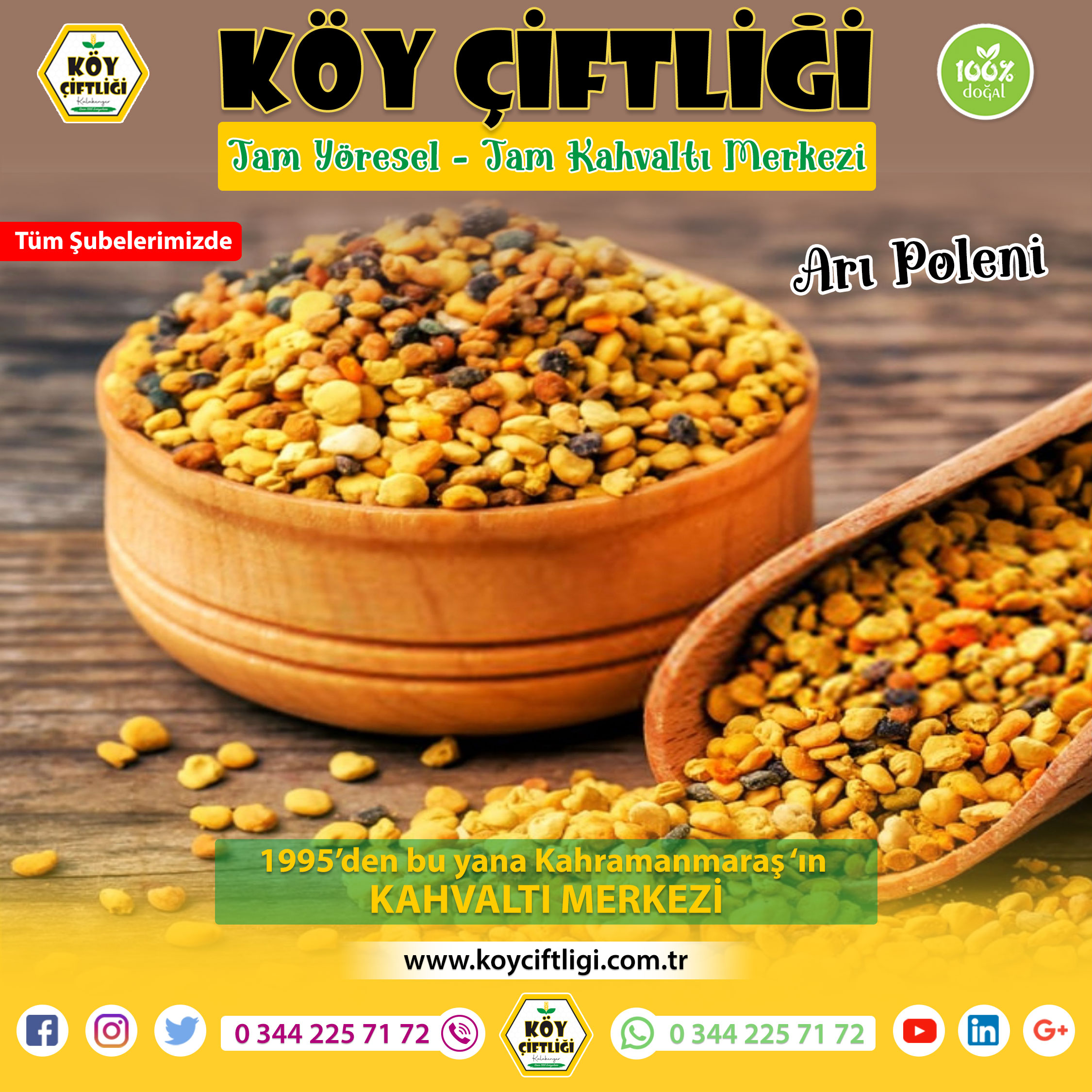 Arı Poleni