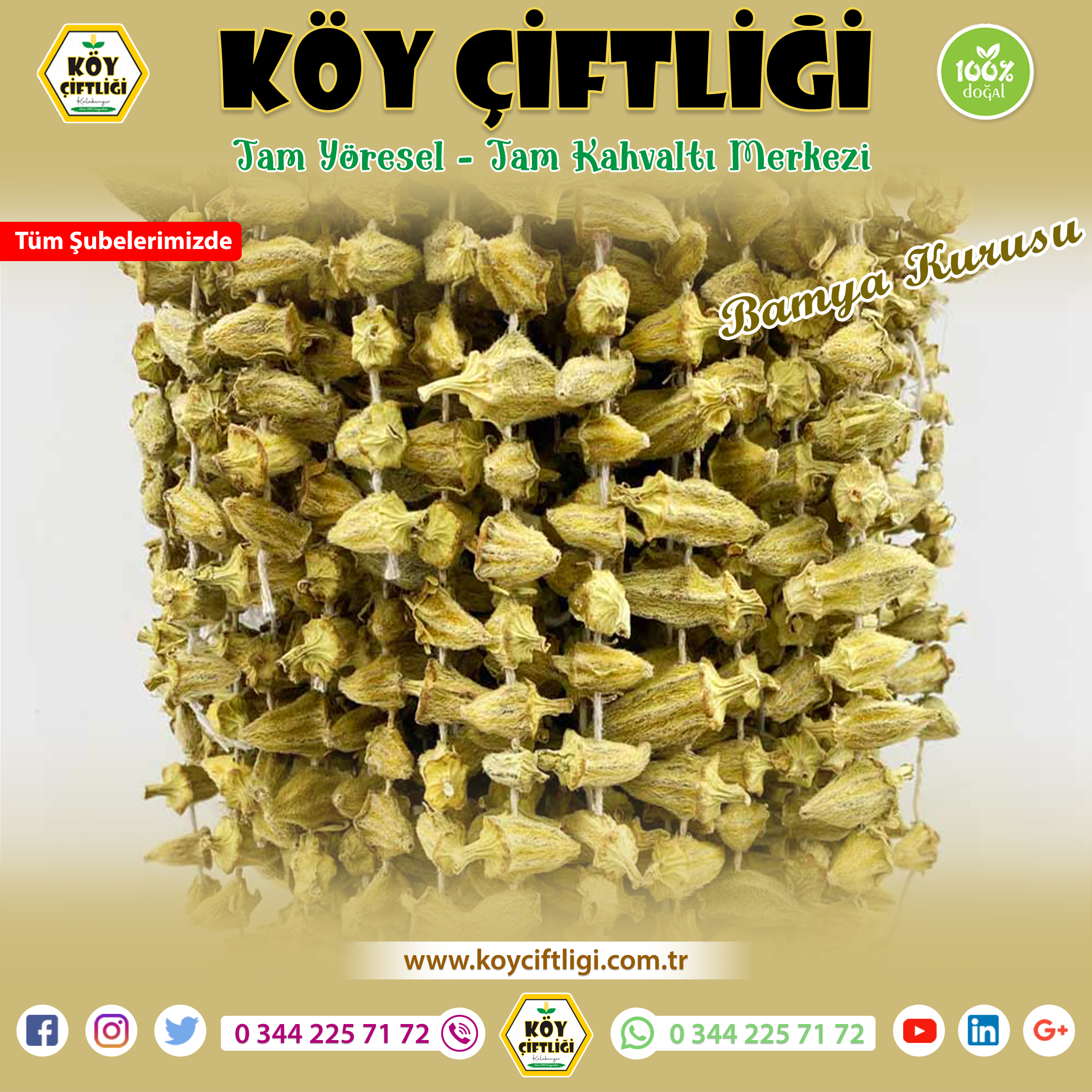 Bamya Kurusu KÖY ÇİFTLİĞİ ’nde 