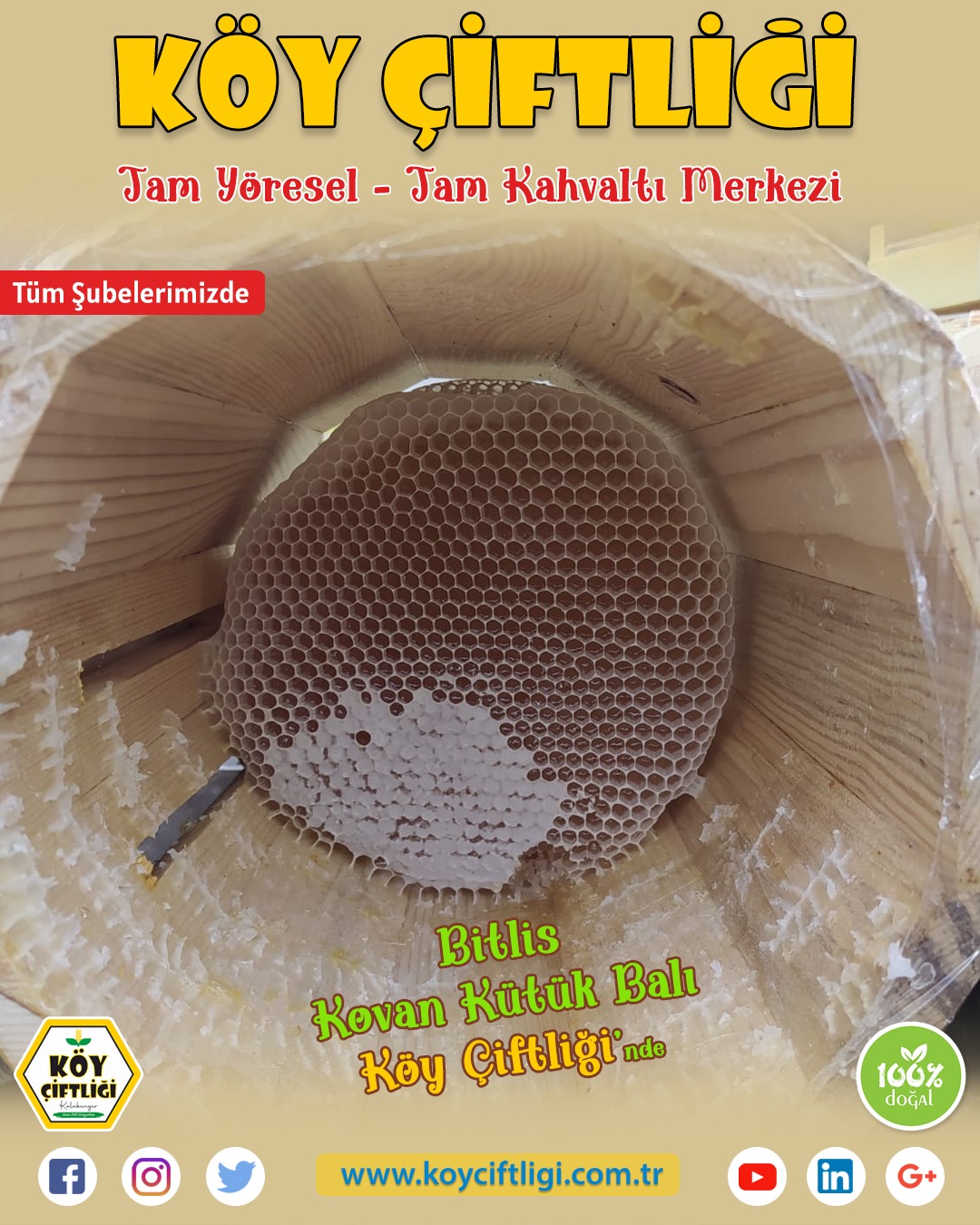 BİTLİS KOVAN KÜTÜK BALI