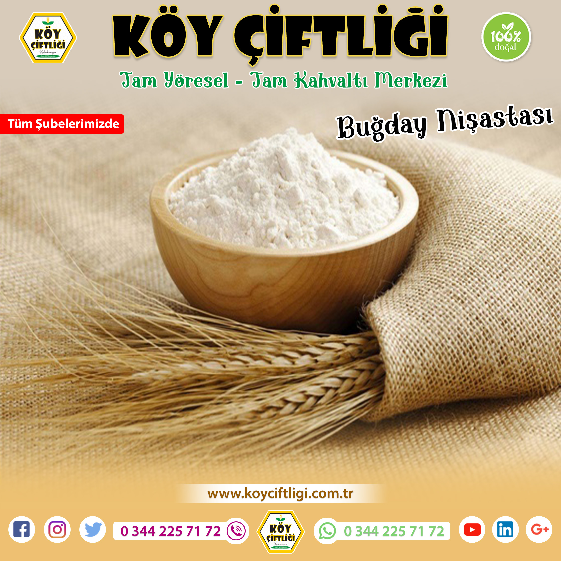 Buğday Nişastası