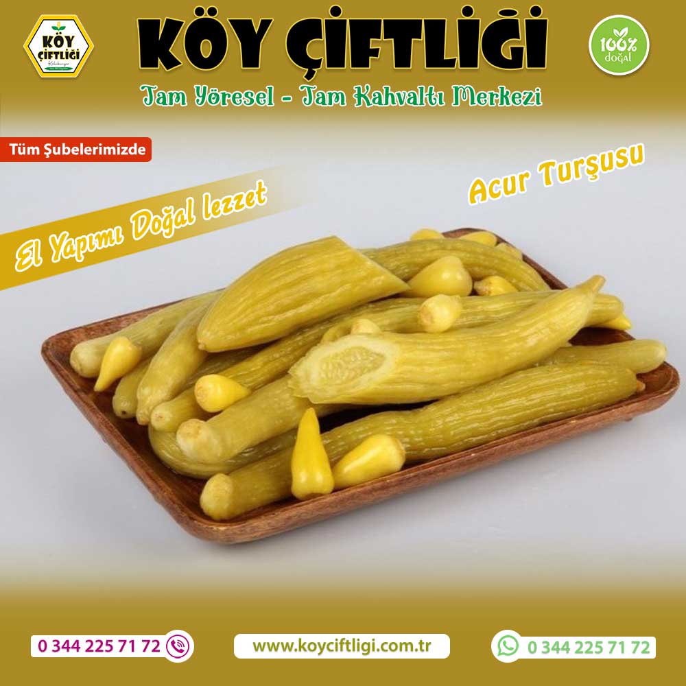 Doğal Acur Turşusu