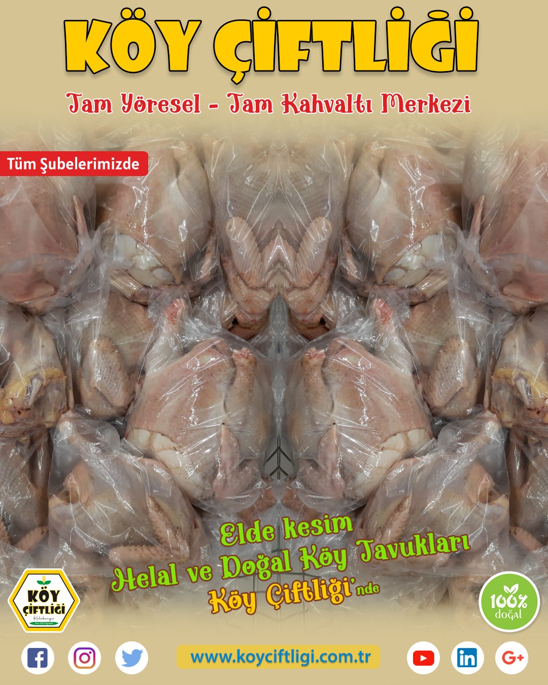 DOĞAL KÖY TAVUKLARI 