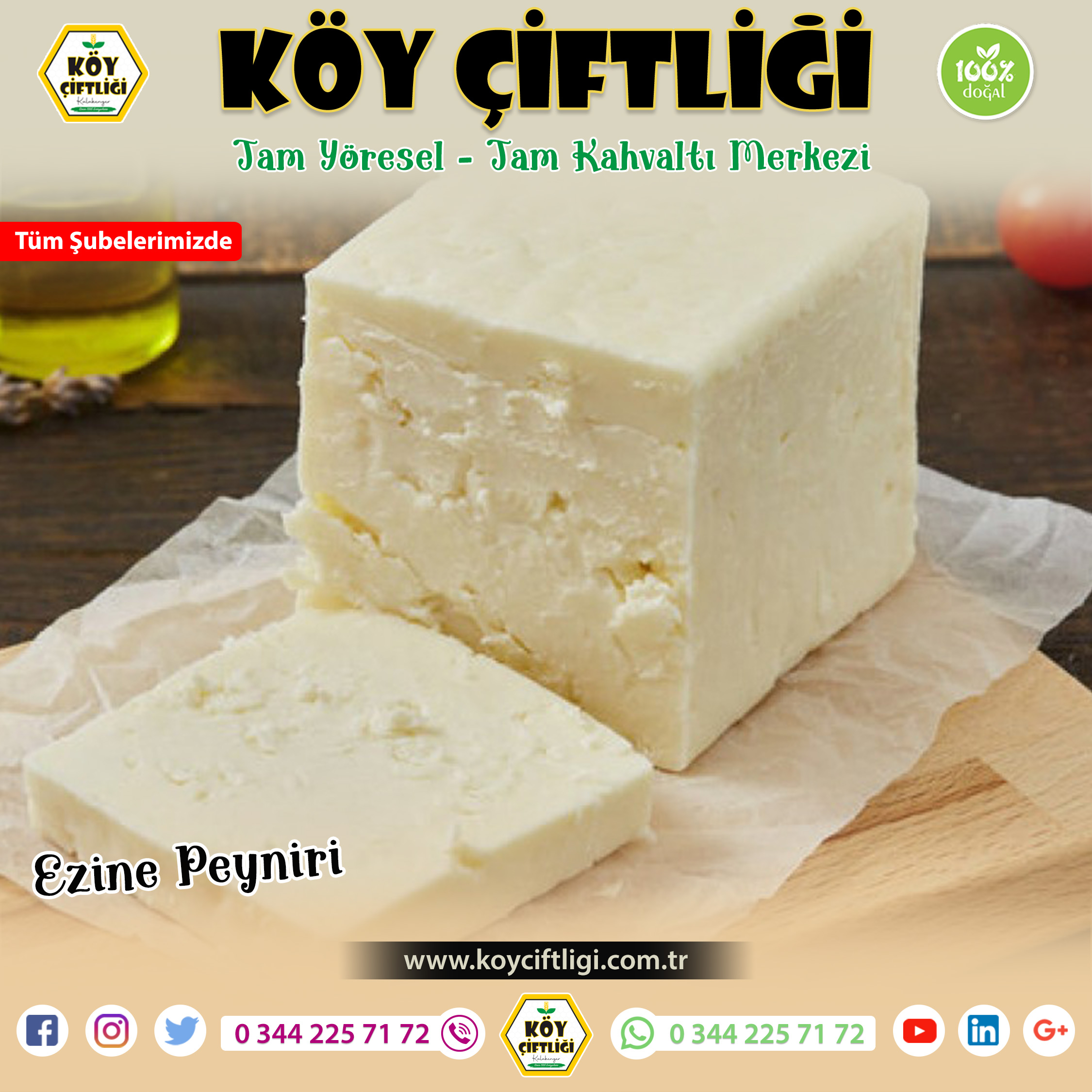 Ezine Peyniri