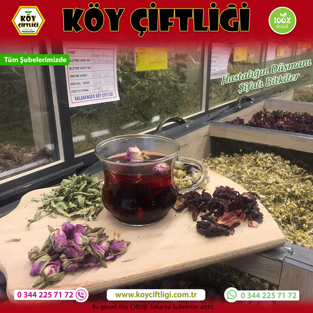 Hastalığın Düşmanı Şifalı Bitkiler
