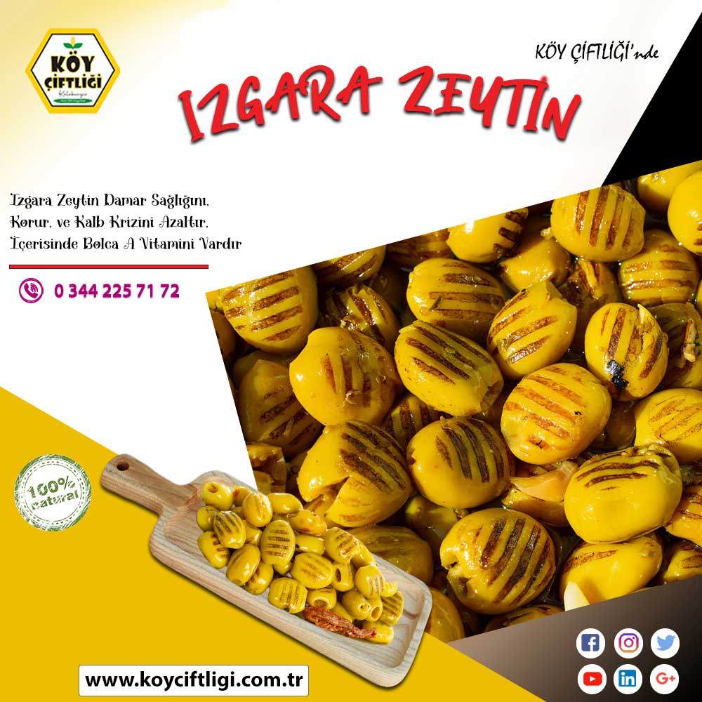 Izgara Zeytin 