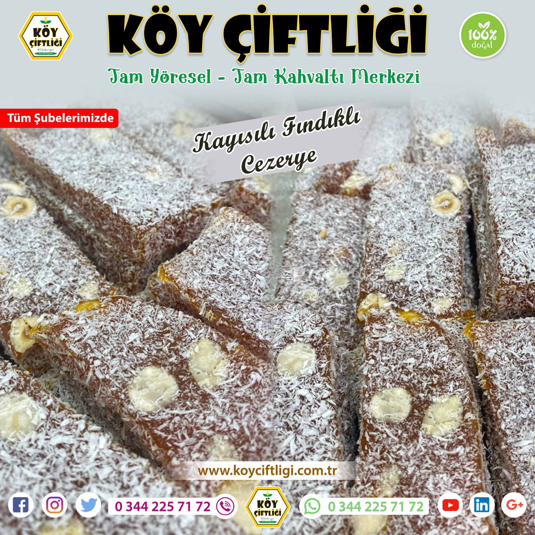 Kayısılı Fındıklı Cezerye
