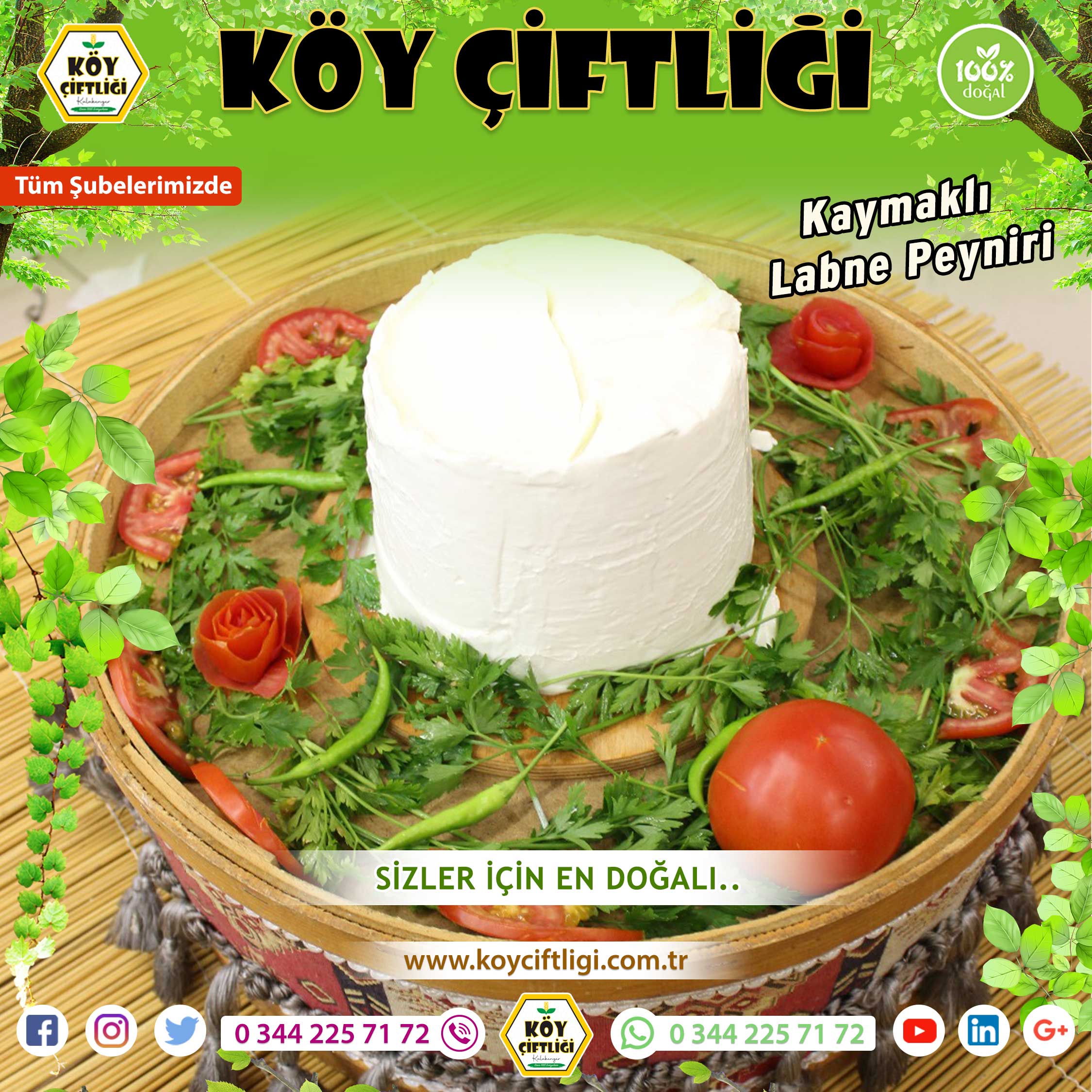 Kaymaklı Labne Peynir
