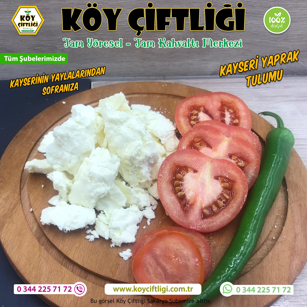 Kayseri Yaprak Tulumu Köy Çiftliğini