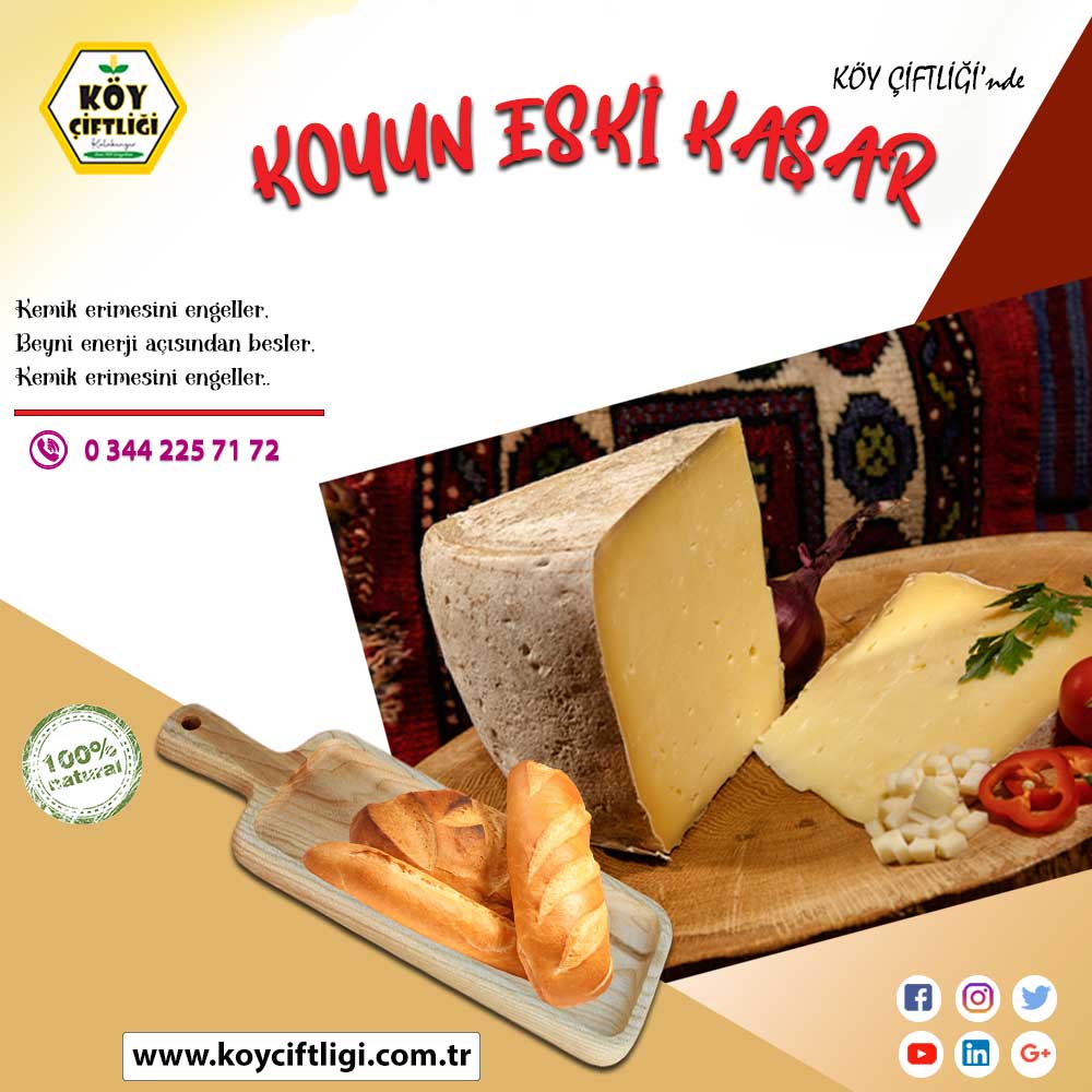 Koyun Eski Kaşar 