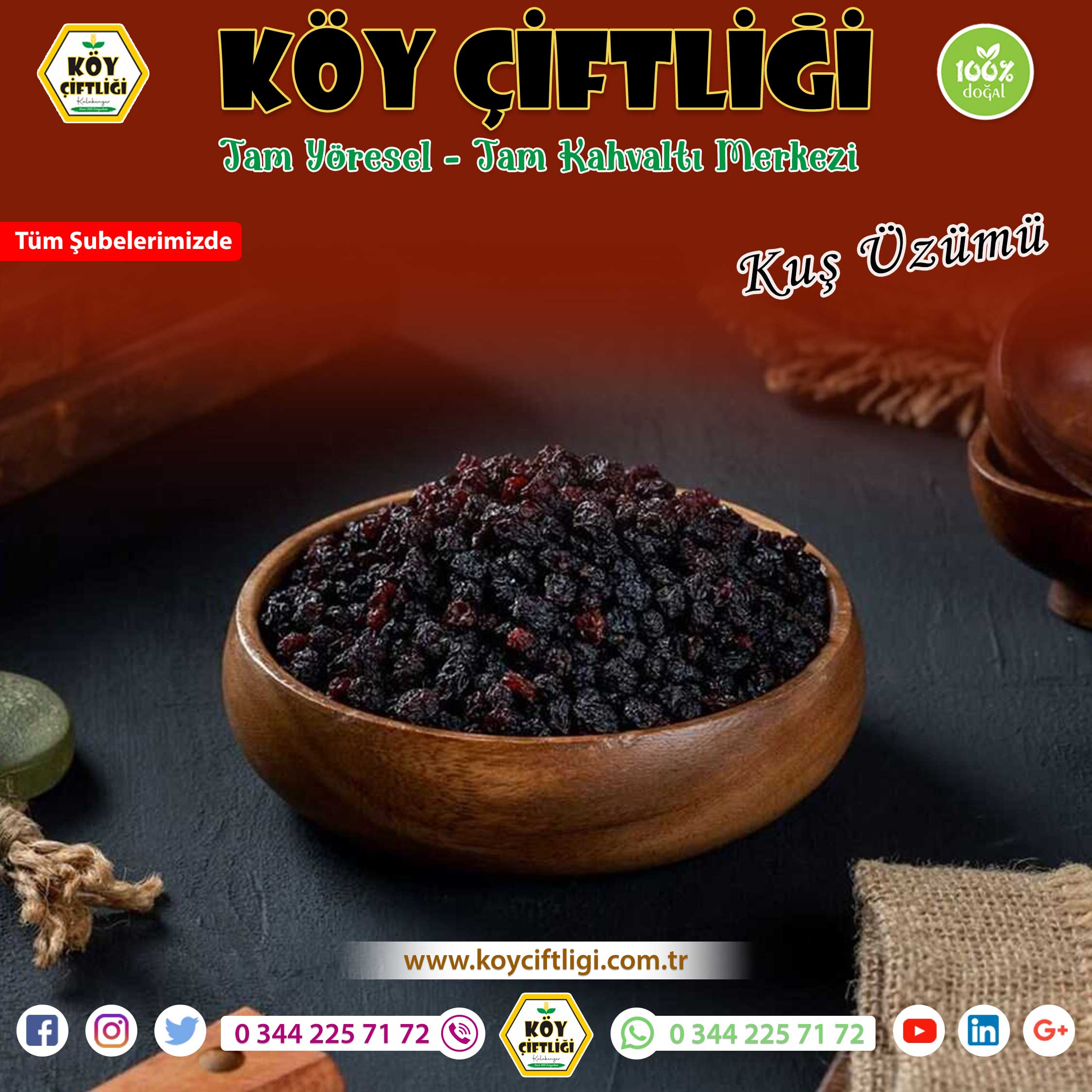 Kuş Üzümü