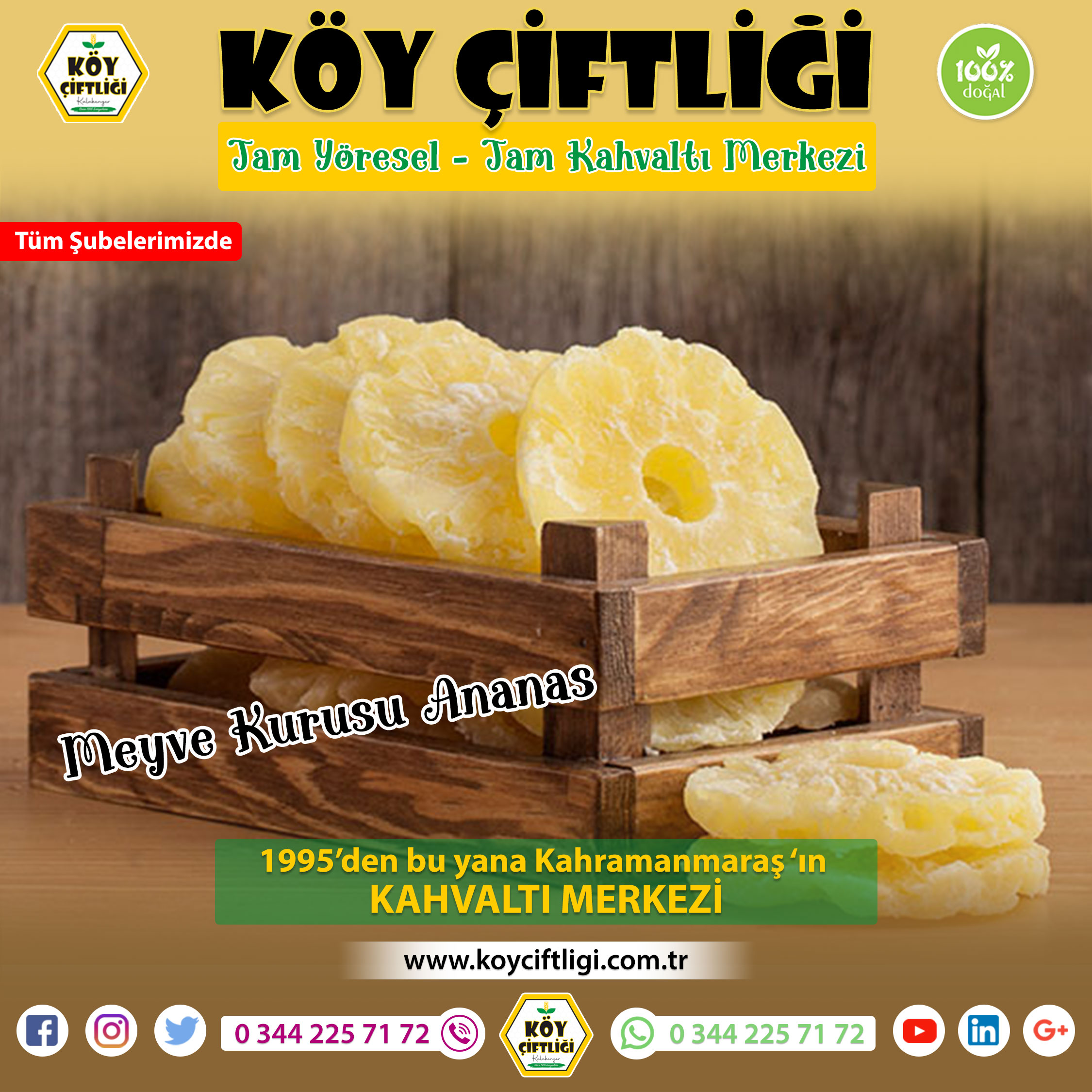 Meyve Kurusu Ananas