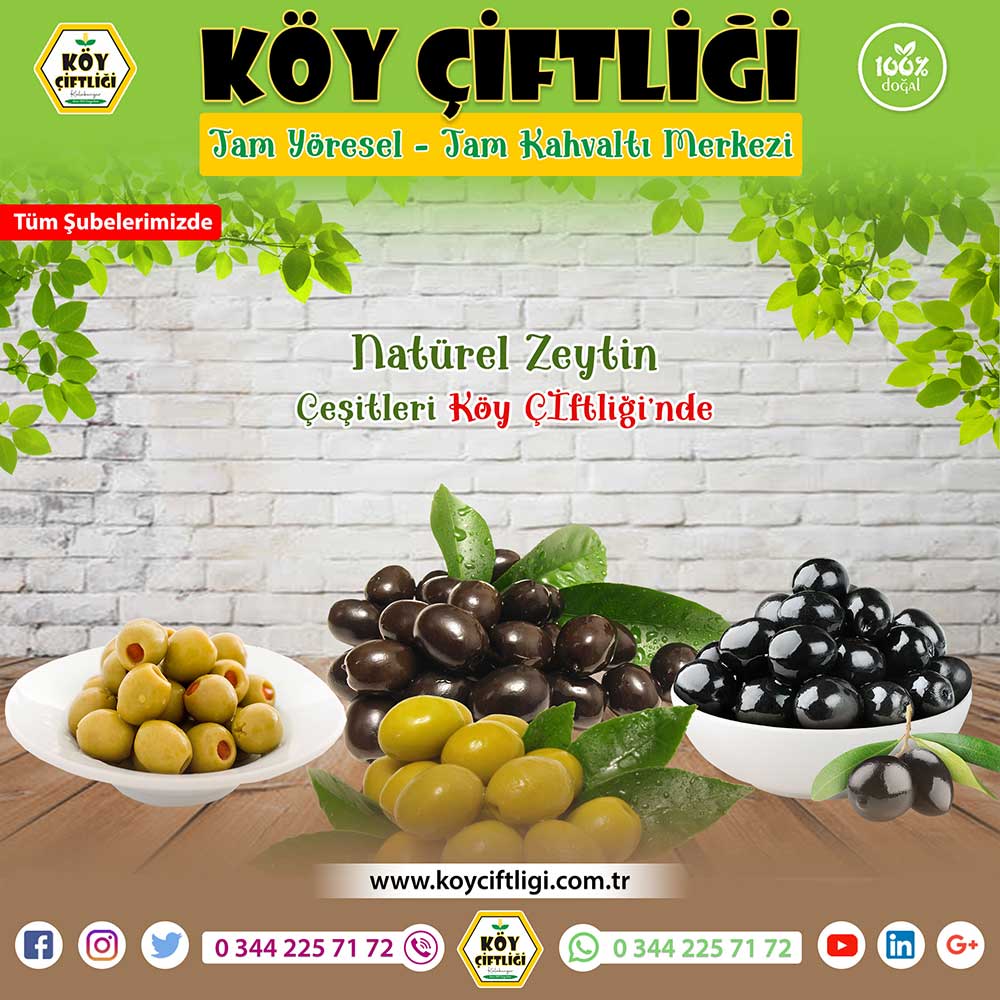 Natürel Zeytin Çeşitleri 