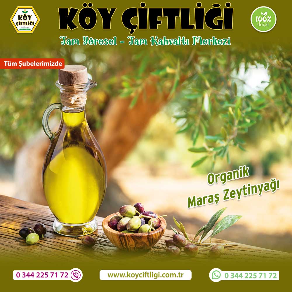 Organik Maraş Zeytinyağı