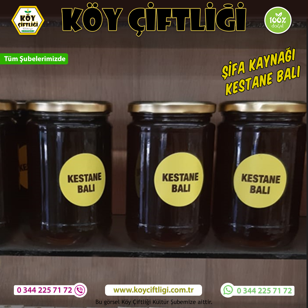 Şifalı Kestane Balı