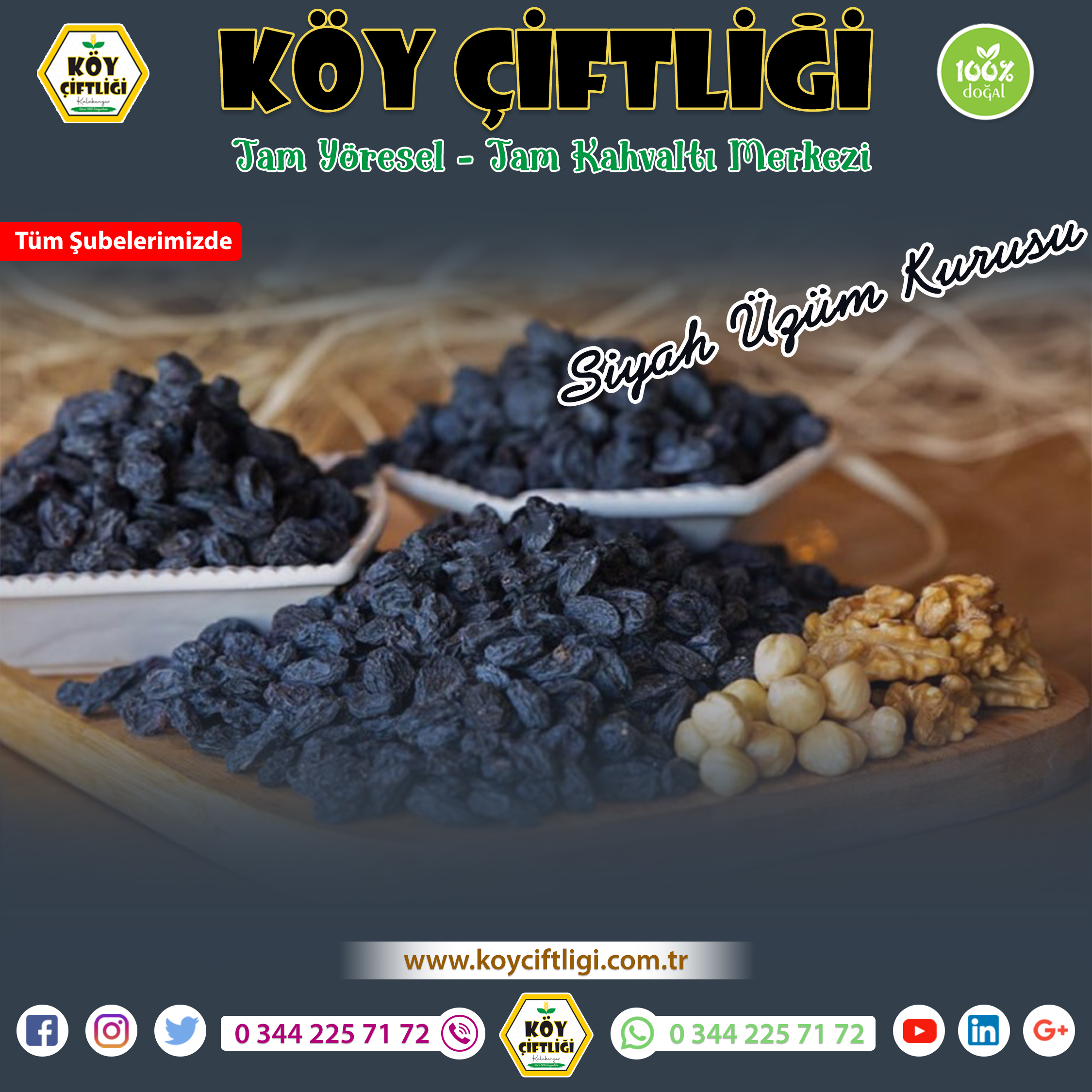 Siyah Üzüm Kurusu