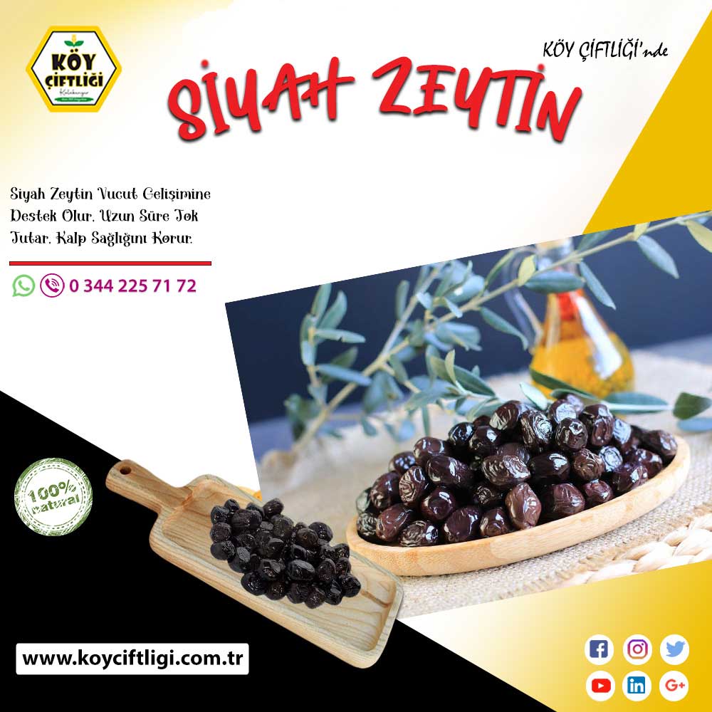 Siyah Zeytin 