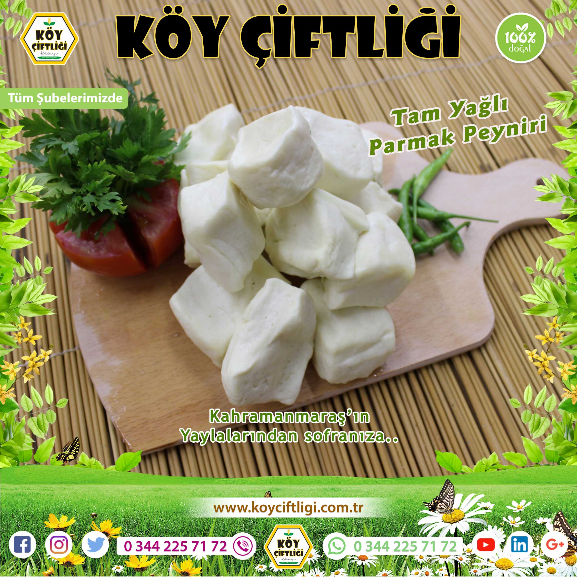 Tam Yağlı Parmak Peyniri