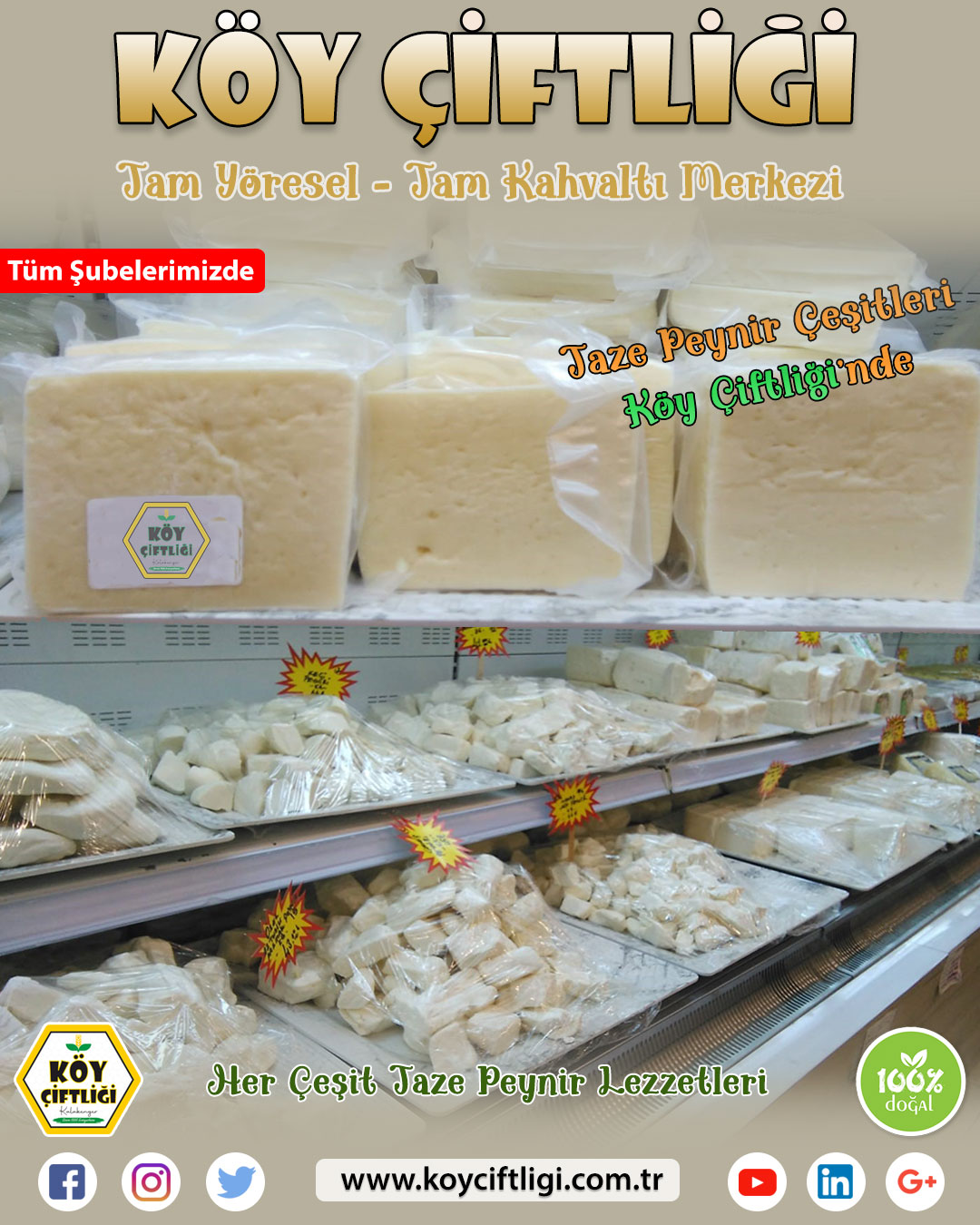 Taze Peynir Çeşitleri
