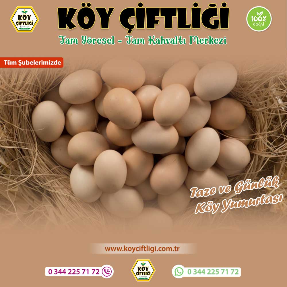 Taze ve Günlük Köy Yumurtası