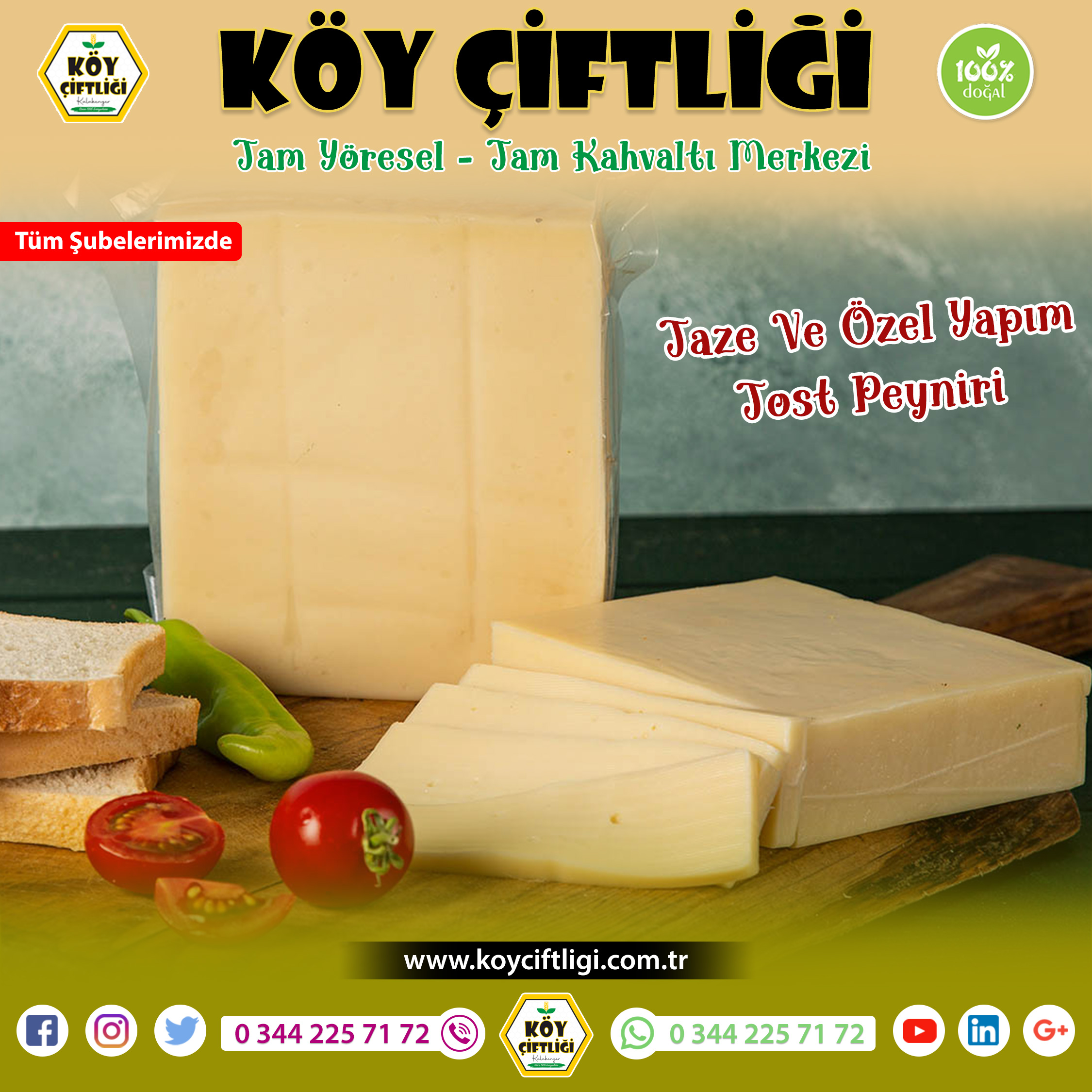 Taze ve Özel Yapım Tost Peyniri 