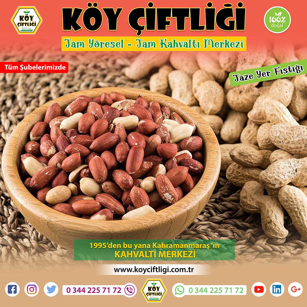 Taze Yer Fıstığı