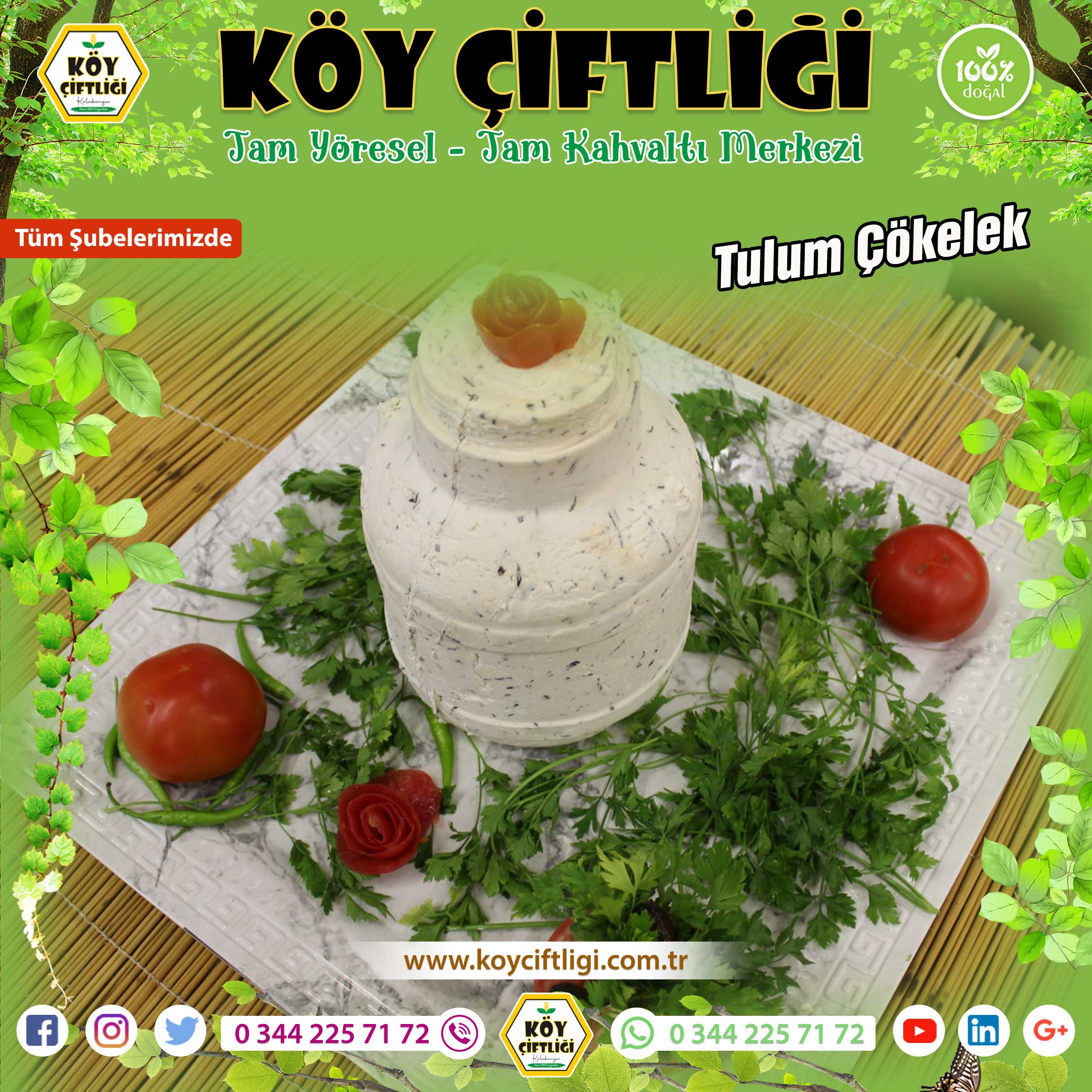 Tulum Çökelek