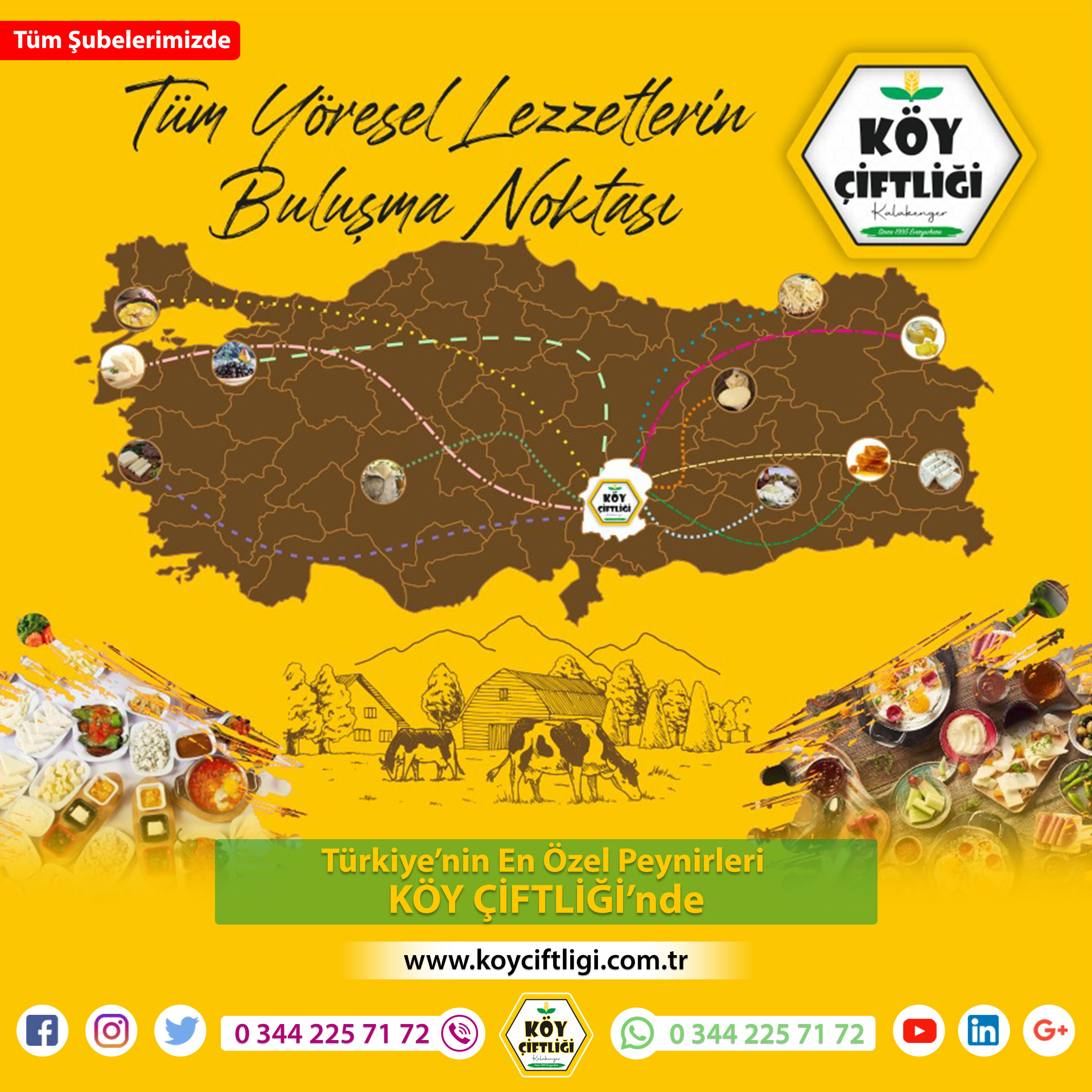 Türkiye’nin En Özel Peynirleri 