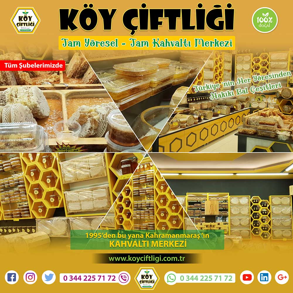 Türkiye'nin Her Yöresinden Hakiki Bal Çeşitleri