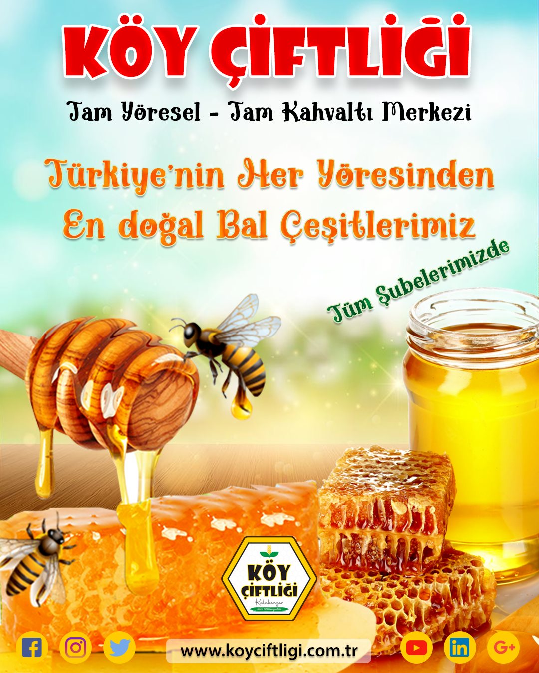 TÜRKİYE'nin TÜM BAL ÇEŞİTLERİ BURADA...