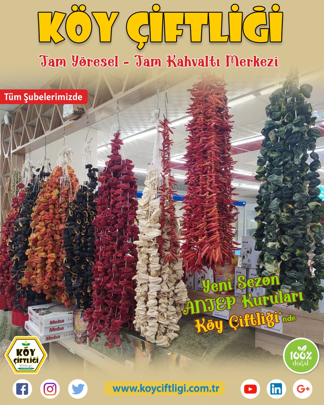 Yeni Sezon ANTEP KURULARI 