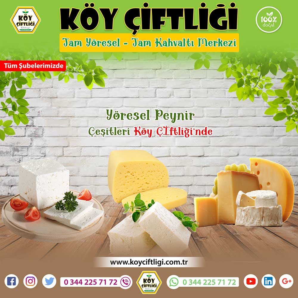 Yöresel Peynir Çeşitleri 