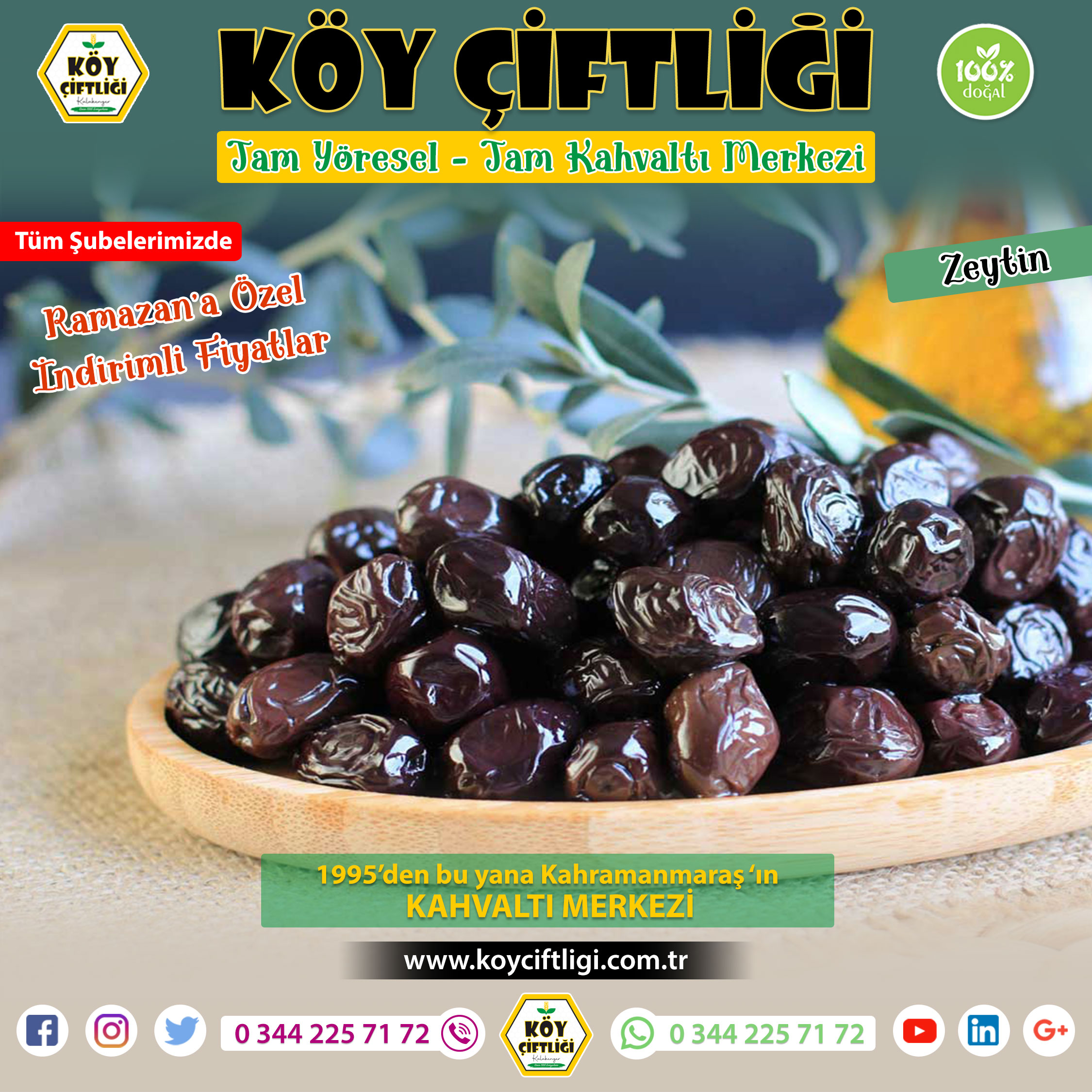 Zeytin