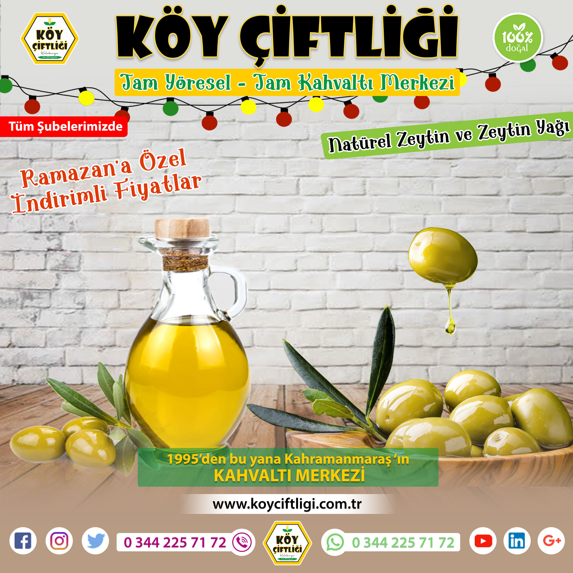 Zeytin ve Zeytin Yağı